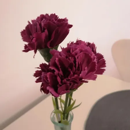 Kalemegdan Centar Apartment